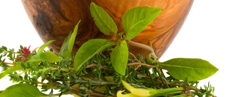 Herbs