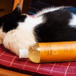 szampon dla zwierząt